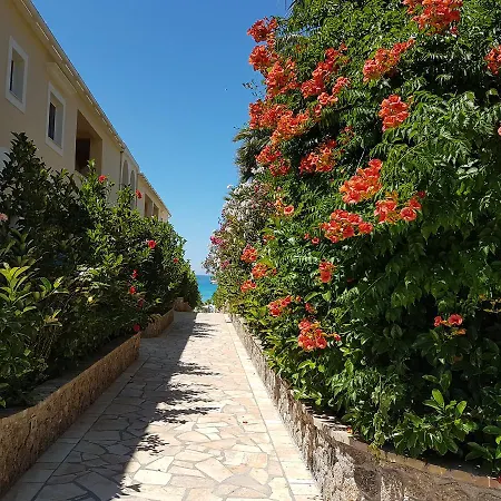 Paralia Luxury דירה *